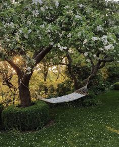 a hammock hanging between two trees in a yard with white flowers on it