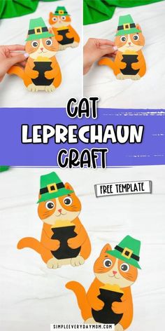 the instructions for making a cat leprechaun craft