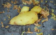 a close up of a yellow mushroom on a surface covered in leaves and mulch