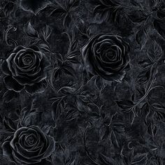 black roses with leaves on a dark background