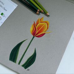 a pencil drawing of a yellow flower with green leaves on the bottom and red center