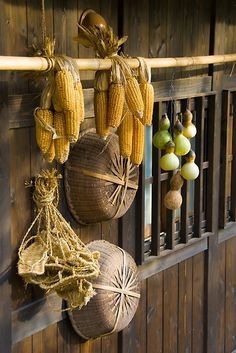 corn on the cob hanging from a wooden fence with burlocks and rope