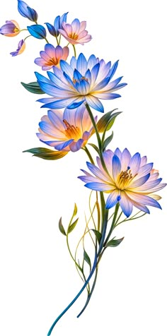 blue and yellow flowers on a white background