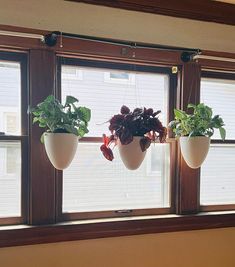 three potted plants hanging from the side of a window