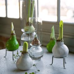 small vases with flowers in them sitting on a table next to eachother