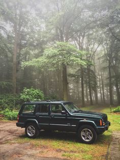 a black jeep parked in the woods on a foggy day