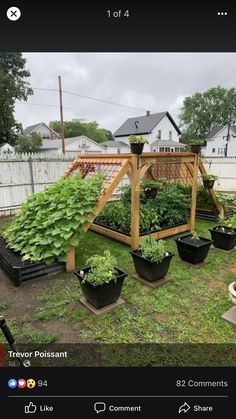 an outdoor garden with lots of plants growing in the ground and on top of it