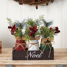 three jars with plants in them are sitting on a wooden table next to a wreath