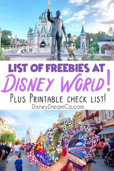 the disneyland world is one of the best things to do in disney world