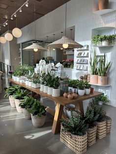 a table with potted plants on it in a room filled with hanging lights and lamps