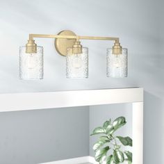 a bathroom light with three lights on the wall above it and a potted plant