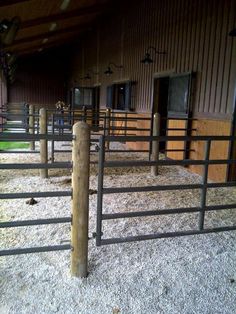 several horses are standing in their stalls at the stable, with hay on the ground