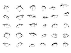 an image of various types of eyes