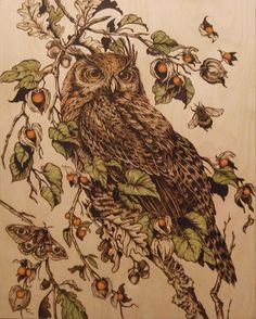 an owl sitting on top of a tree branch surrounded by leaves and oranges,