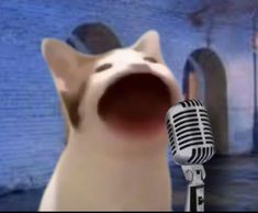 a cat is singing into a microphone