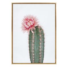 a pink flower on top of a green cactus in a gold framed frame with white background