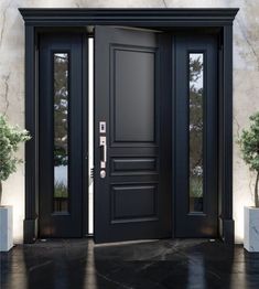 an open black door with two planters on either side