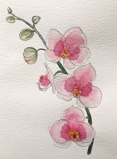 watercolor painting of pink flowers on white paper