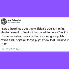 the tweet is posted to someone about their dog's first shelter animal