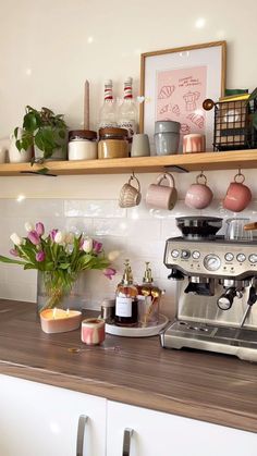 a kitchen counter with coffee maker, cups and flowers on the shelf above it in front of a potted plant