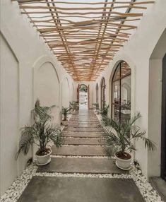 a long hallway with potted plants on either side