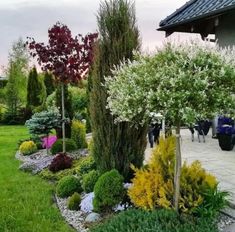 a garden with lots of different types of trees and shrubs in it, along with people walking on the sidewalk