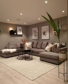 a living room filled with lots of furniture next to a white rug on top of a hard wood floor