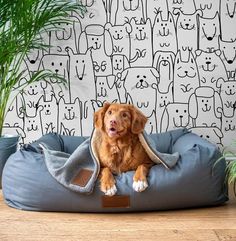 a brown dog laying on top of a blue bed next to a potted plant