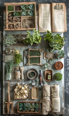 an assortment of plants and herbs are arranged on a table with two open books, one opened to the side