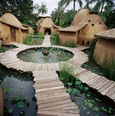 a wooden walkway leading to some water lilies