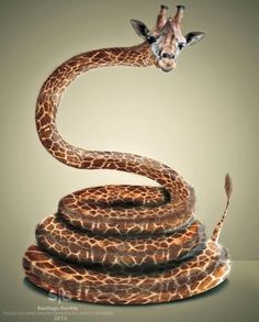 a giraffe with its head in the shape of a snake on a grey background