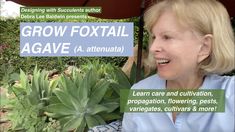 a woman sitting in front of a sign that says grow foxtail agave attenua