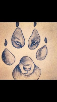 a drawing of a bear's paw with drops of water on the nose and eyes