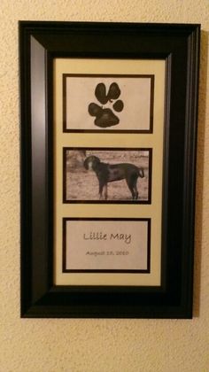 a dog's paw prints are hung on the wall above a framed photo with an inscription that reads, little mary