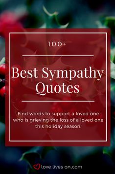 red flowers with the words best sympathy quotes in white overlaying it's image