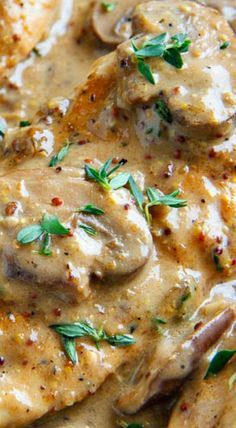 chicken and mushroom gravy in a white sauce with fresh herbs on the top