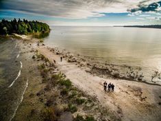 an aerial view of people walking on the beach next to the ocean with trees in the background