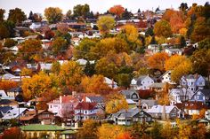 a city with lots of houses and trees in the fall