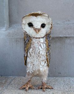 an owl standing on its hind legs wearing a lace dress and headband with eyes wide open