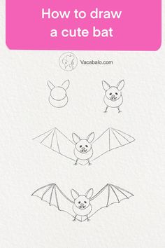 how to draw a cute bat