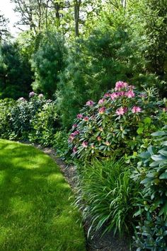 a lush green garden with pink flowers and trees in the background, along side a path