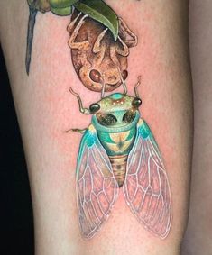 a close up of a tattoo with a bug on it