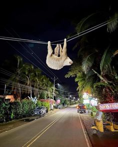 a slotty hanging from a power line in the middle of a street at night