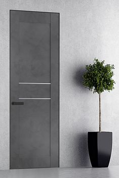 a potted plant sitting next to a gray door in a white room with grey walls