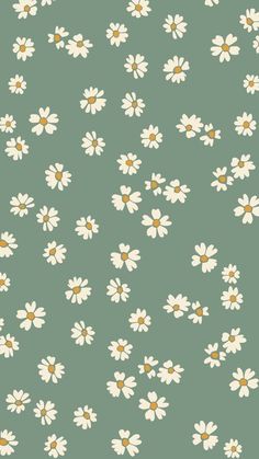 a green background with white daisies on it