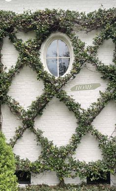 an ivy covered building with a round window in it's center and the word now written below