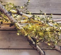 some branches with lights on them are sitting against a wooden wall