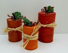 three clay pots with plants in them tied to twine and sitting on top of each other