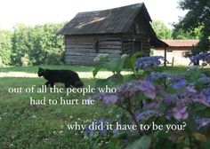 a black cat walking across a lush green field next to a wooden house and purple flowers