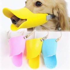 a dog chewing on a rubber toy with its mouth open and four different colors attached to it